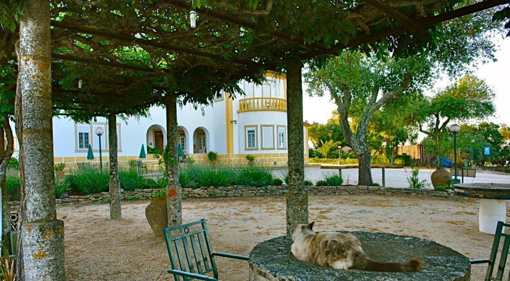Quinta Da Bela Vista Lejlighed Póvoa e Meadas Eksteriør billede