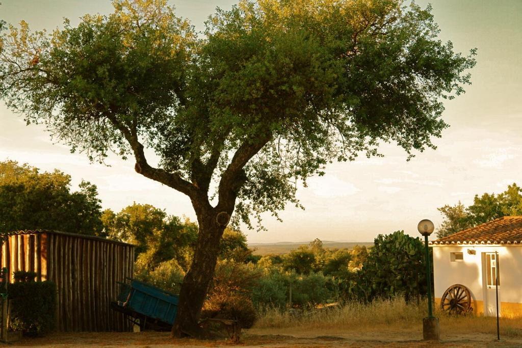 Quinta Da Bela Vista Lejlighed Póvoa e Meadas Eksteriør billede
