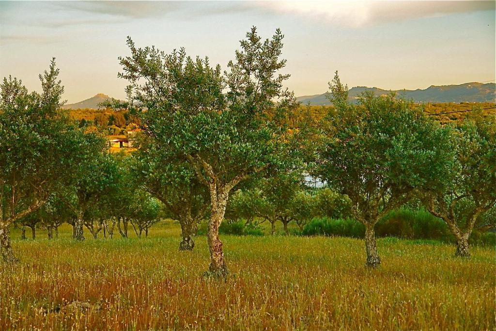 Quinta Da Bela Vista Lejlighed Póvoa e Meadas Eksteriør billede