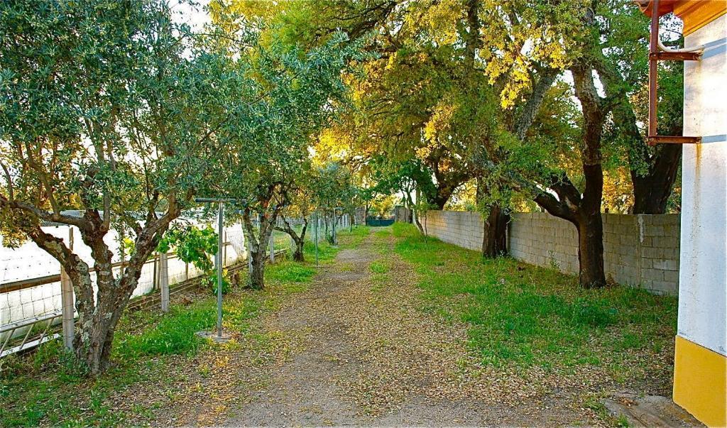 Quinta Da Bela Vista Lejlighed Póvoa e Meadas Værelse billede