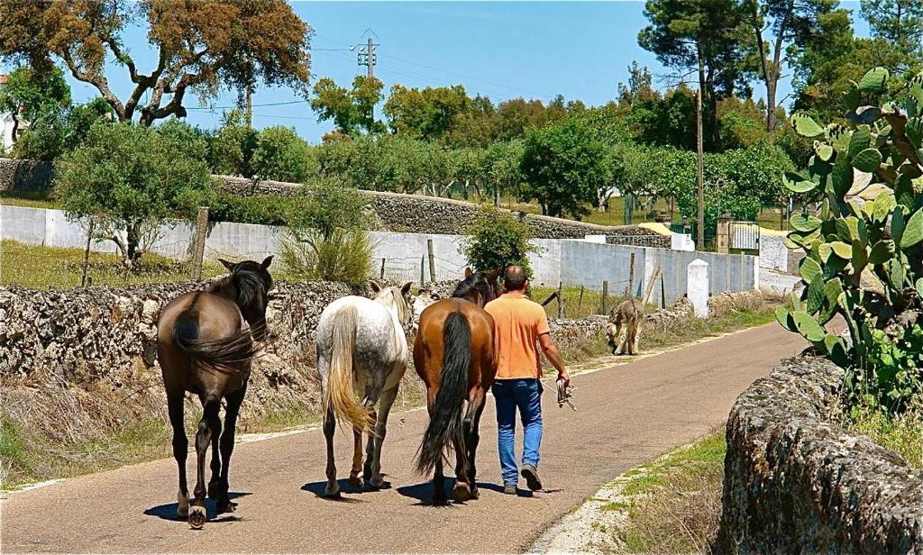 Quinta Da Bela Vista Lejlighed Póvoa e Meadas Eksteriør billede